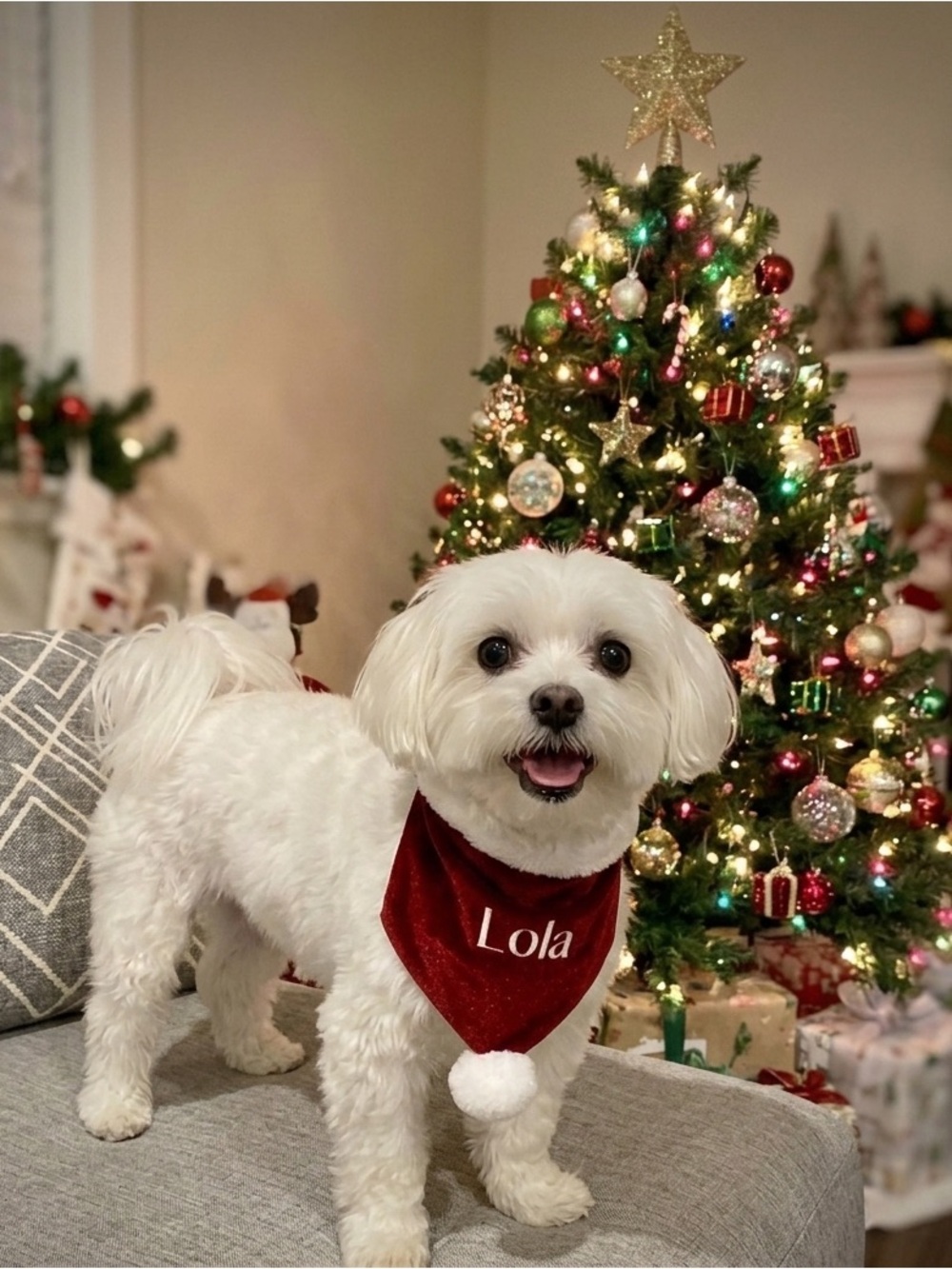 LMT: Santa Paws Personalized Velvet Dog Bandana- Small
